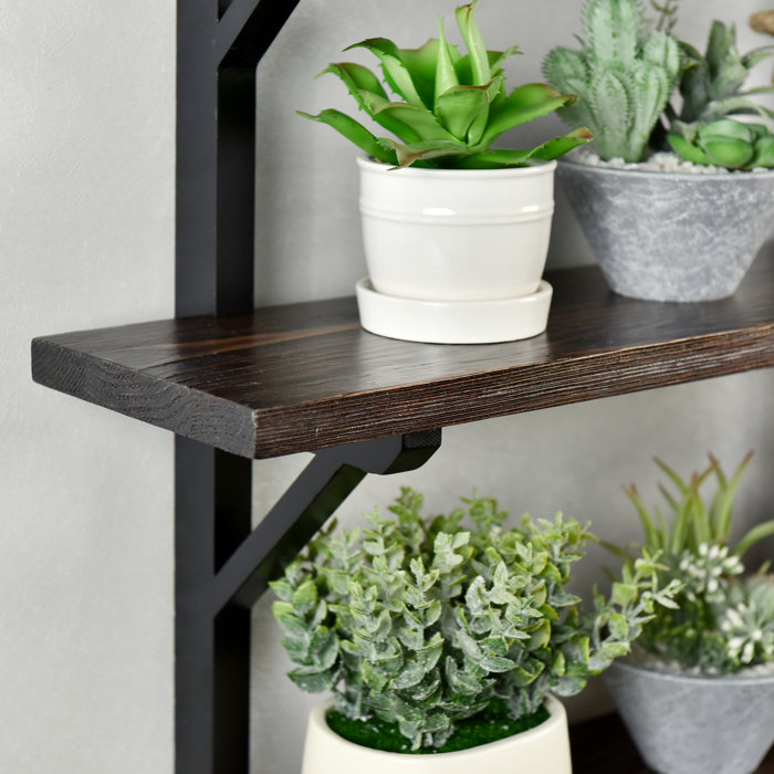 Gracie Oaks Funke 3 Piece Pine Solid Wood Tiered Shelf & Reviews Wayfair